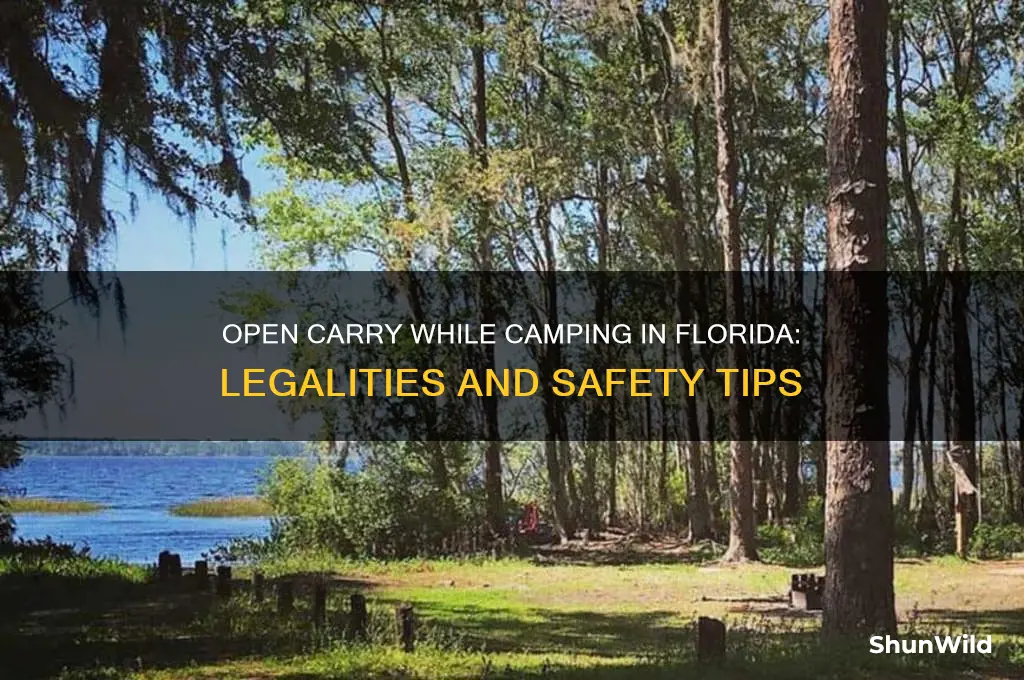 can i open carry while camping in florida