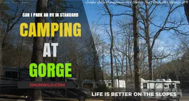 RV Parking at Gorge Campgrounds: Standard Sites or Special Rules?