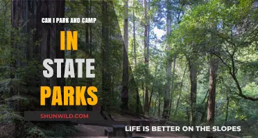 Camping and Parking in State Parks: Rules and Tips