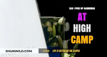 Exploring High Camp: Can You Pick Gardenias There?