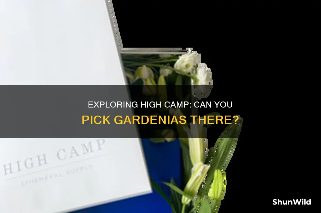 can i pick up gardenias at high camp