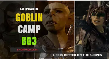 Poisoning the Goblin Camp in BG3: Tactics and Consequences Explained