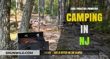 Primitive Camping in NJ: Tips, Locations, and Legal Guidelines