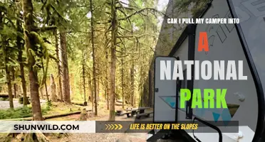 Exploring National Parks: Camper Access Rules and Tips