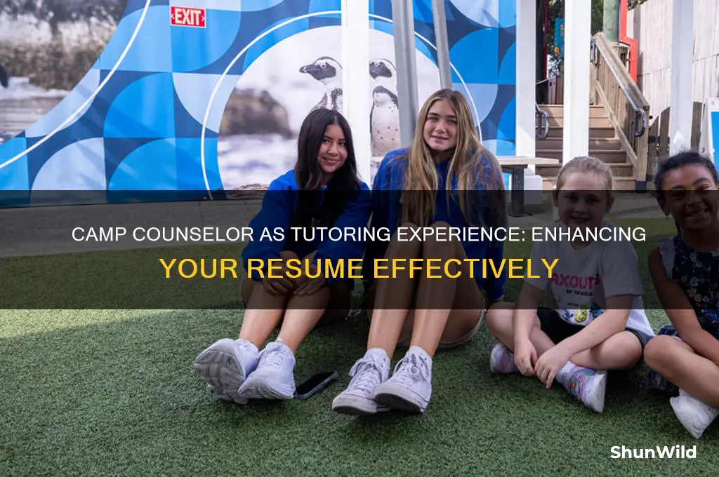can i put camp counselor as tutoring experience
