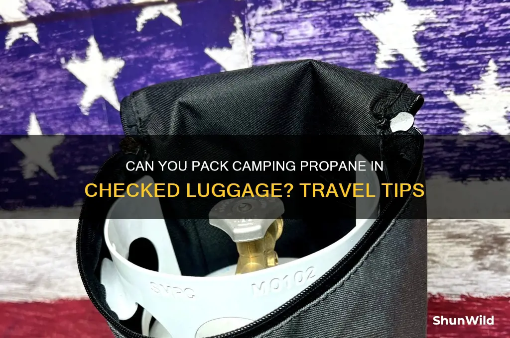 can i put camping propane in checked bag