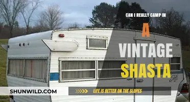 Vintage Shasta Camping: Reviving Retro Adventures in Style and Comfort