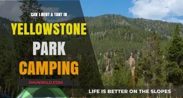 Renting a Tent in Yellowstone: Camping Essentials and Tips