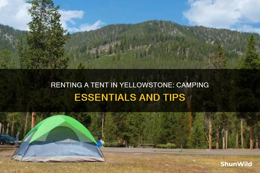 can i rent a tant in yellowstone park camping