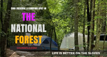 How to Reserve a Camping Spot in National Forests: A Guide