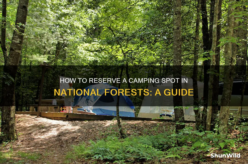 can i reserve a camping spot in the national forest