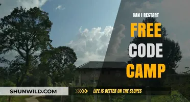 Restarting FreeCodeCamp: How to Begin Your Coding Journey Again
