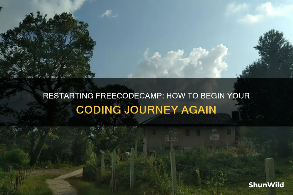 can i restart free code camp