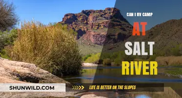 RV Camping at Salt River: Tips, Rules, and Best Spots
