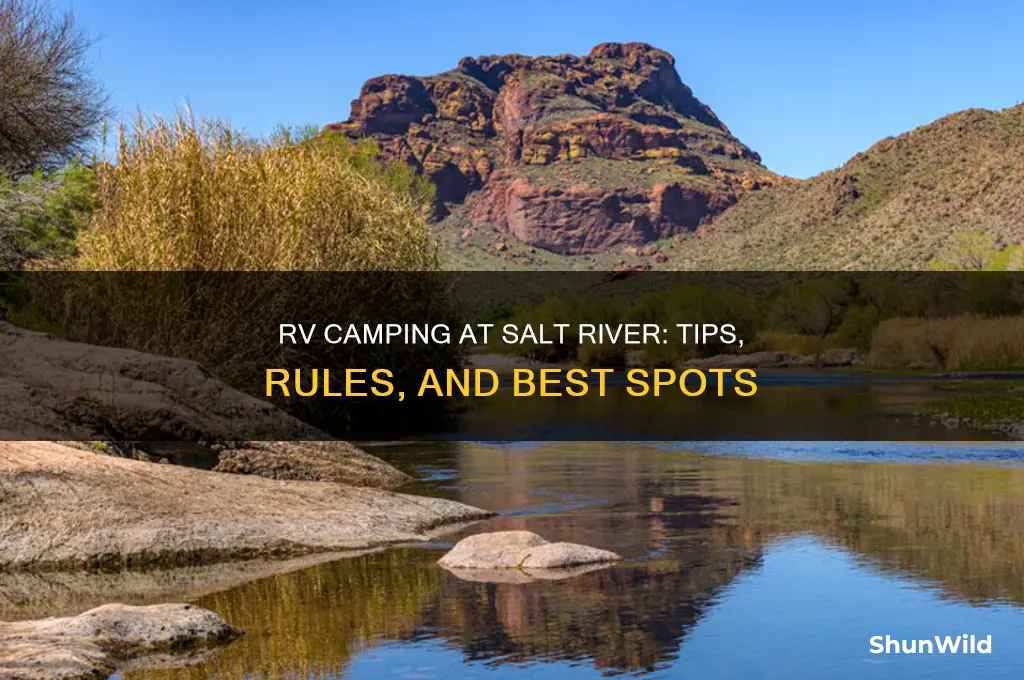 can i rv camp at salt river