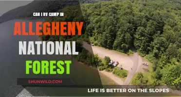 RV Camping in Allegheny National Forest: Rules, Tips, and Best Spots
