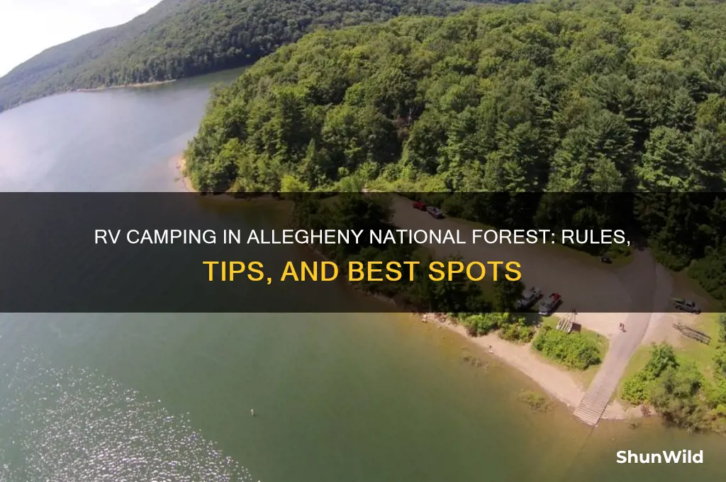 can i rv camp in allegheny national forest