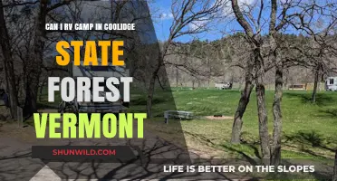 RV Camping in Coolidge State Forest, Vermont: What You Need to Know