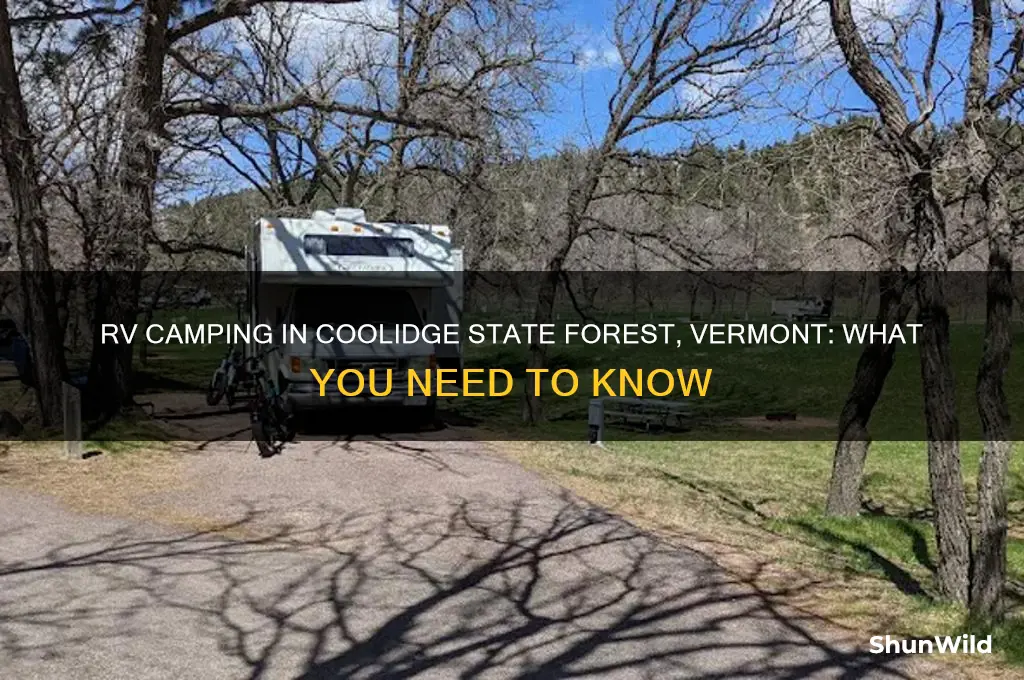 can i rv camp in coolidge state forest vermont