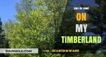 RV Camping on Timberland: Legal Tips and Best Practices