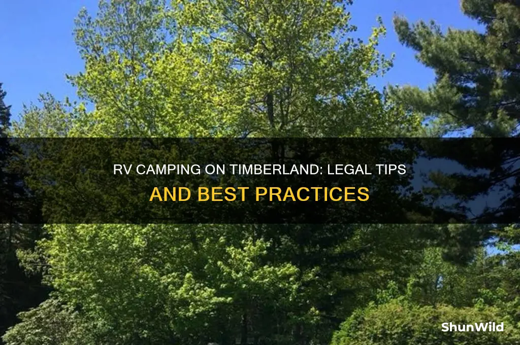 can i rv camp on my timberland
