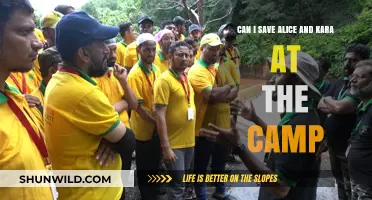 Saving Alice and Kara: Strategies for Camp Survival and Rescue