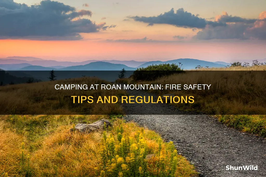 can i start a fire camping at roan mountain