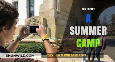 How to Launch Your Own Summer Camp: A Beginner's Guide