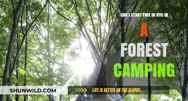 NYC Forest Camping: Fire Safety Rules and Regulations Explained