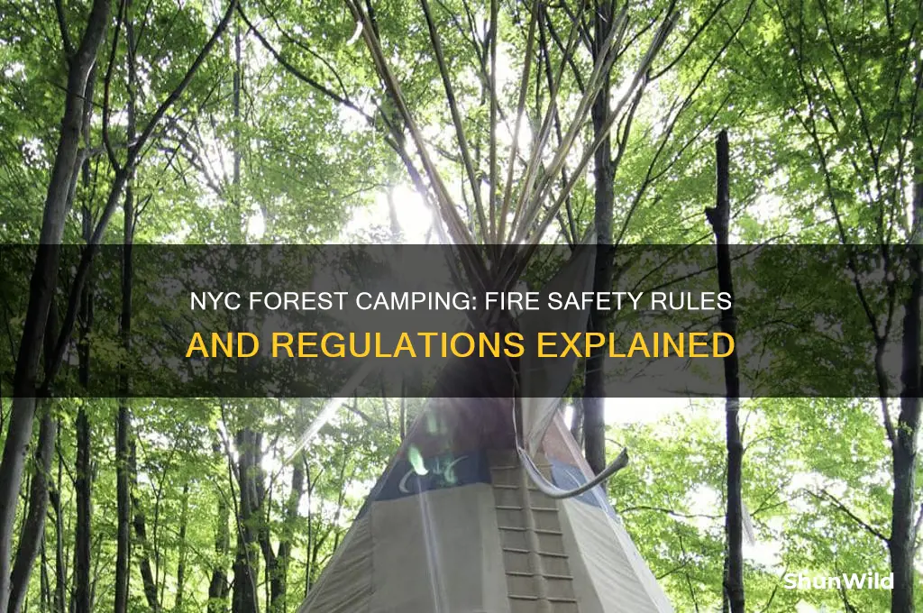 can i start fire in nyc in a forest camping