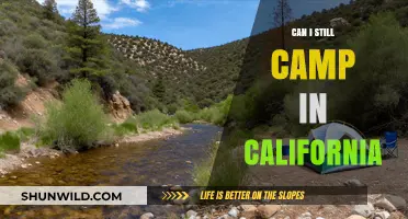 Camping in California: Current Rules, Restrictions, and Best Spots