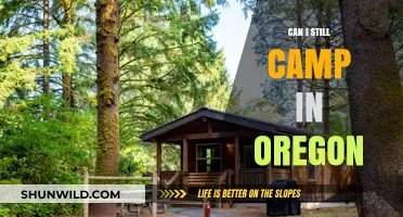 Camping in Oregon: Current Rules, Best Spots, and Essential Tips