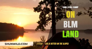 Camping on BLM Land: Rules, Tips, and Current Regulations Explained