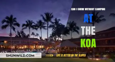 Swim Freely: Enjoying KOA Pools Without Camping Overnight