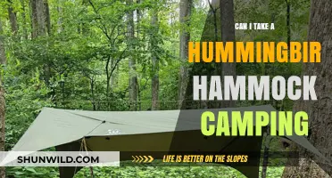Hummingbird Hammock Camping: Lightweight, Comfortable, and Adventure-Ready?