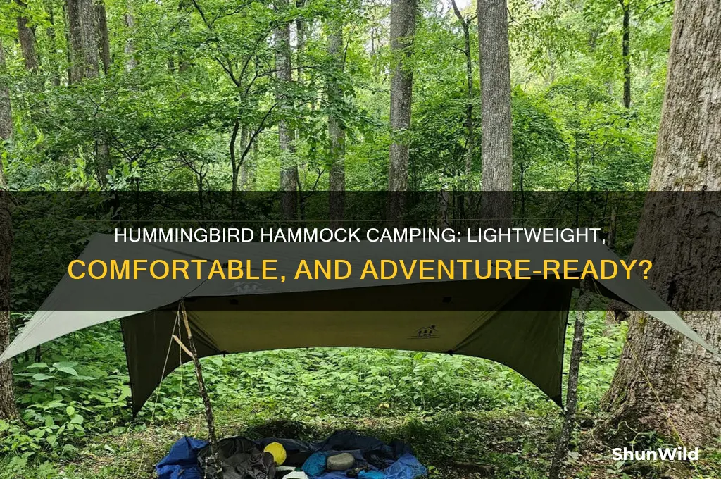 can i take a hummingbird hammock camping
