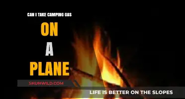 Can You Bring Camping Gas on a Plane? Travel Tips