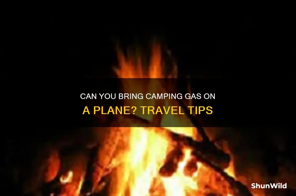 can i take camping gas on a plane