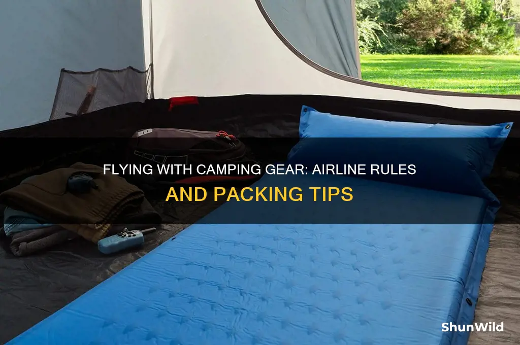 can i take camping gear on a plane