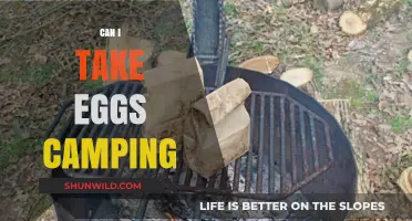 Eggs on the Go: Camping-Friendly Tips for Packing and Cooking