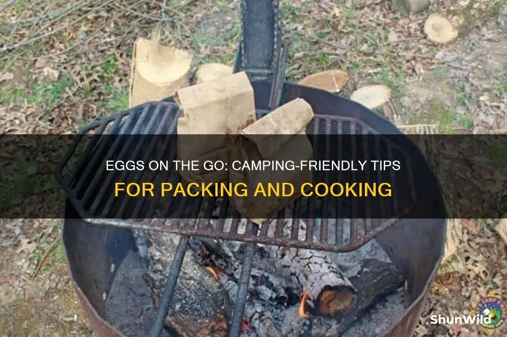 can i take eggs camping