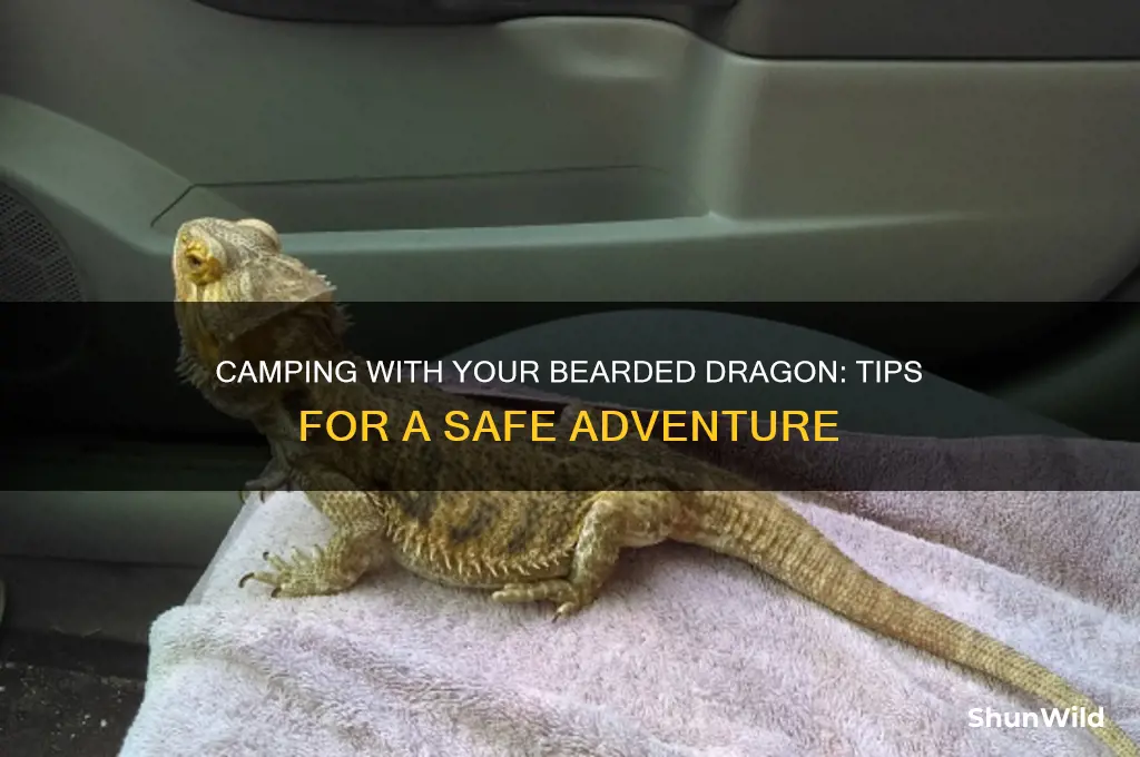 can i take my bearded dragon camping