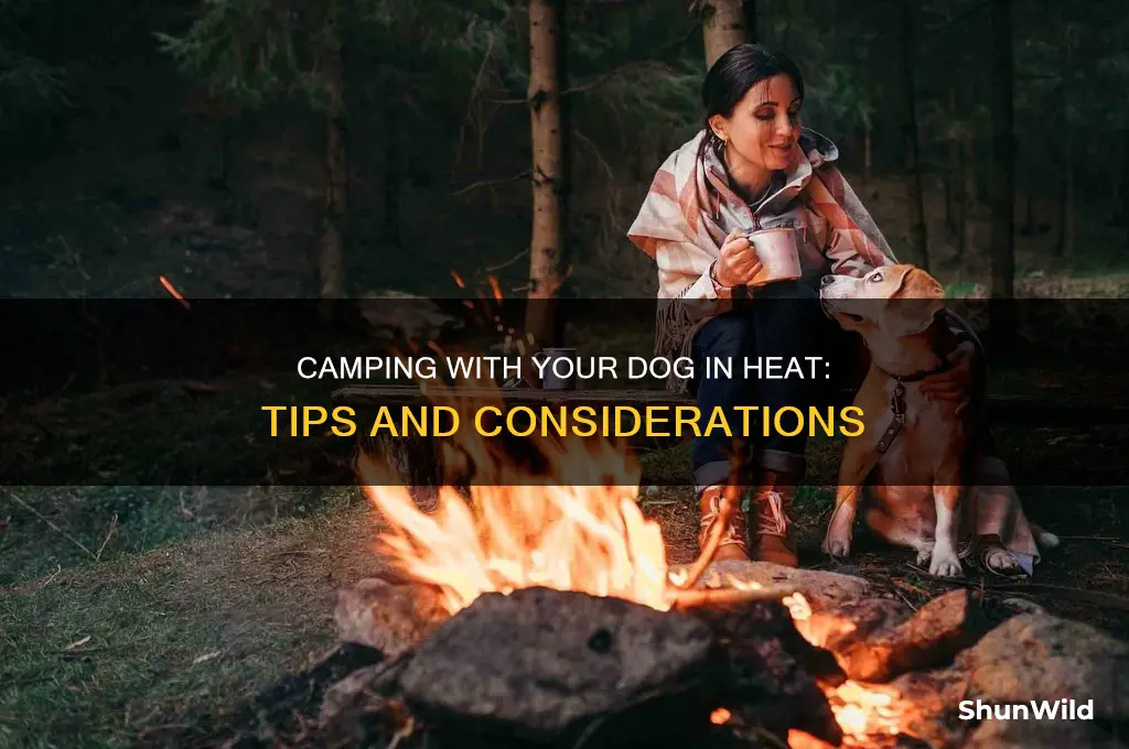can i take my dog camping while in heat
