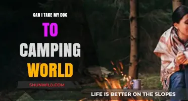Can Dogs Join Camping World Trips? A Pet-Friendly Guide