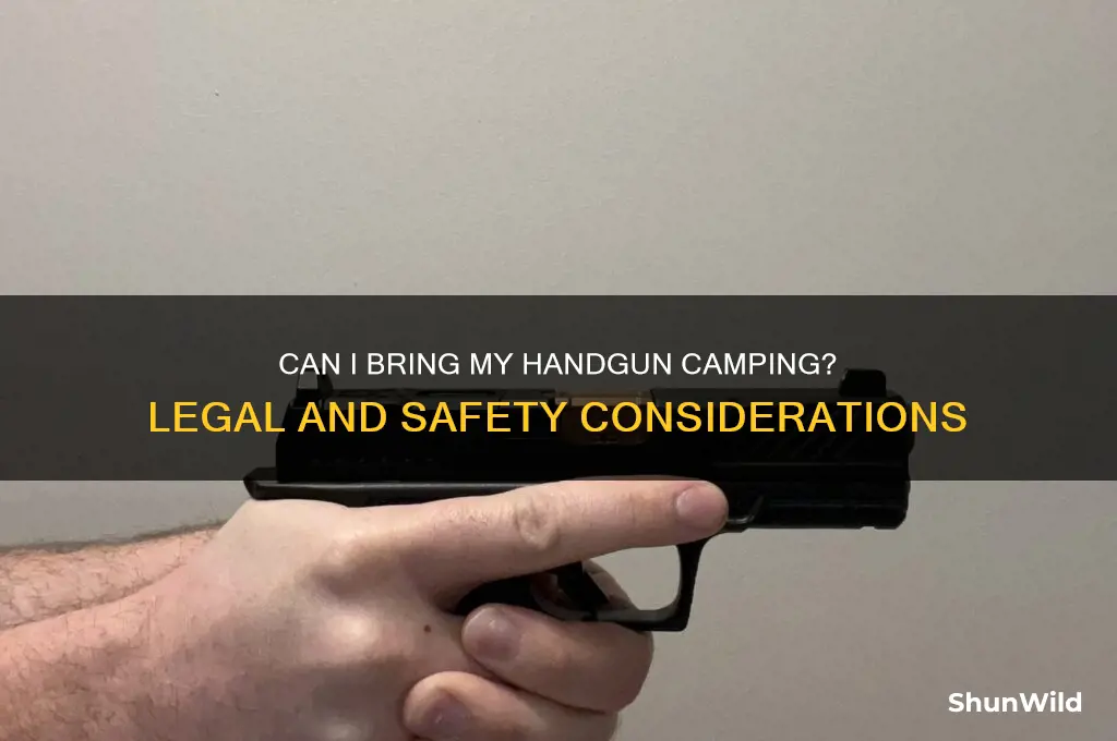 can i take my handgun camping