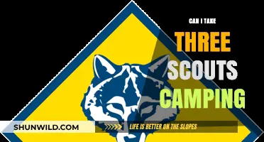 Can I Take Three Scouts Camping? Tips and Guidelines for Leaders