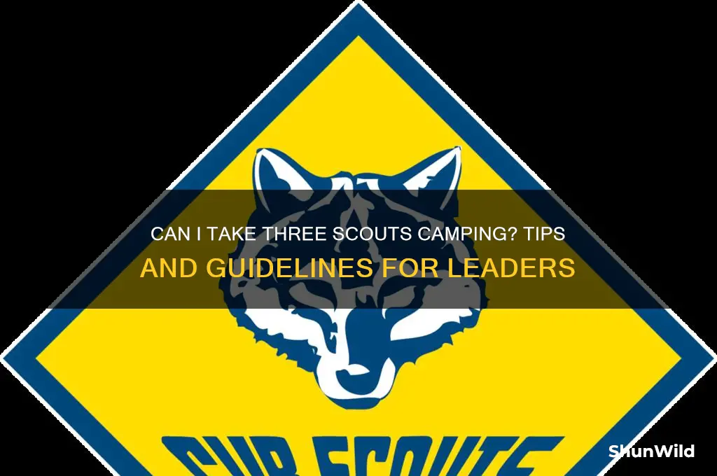 can i take three scouts camping