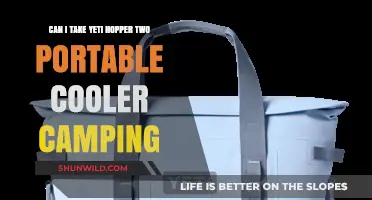 Yeti Hopper Two Cooler: Perfect for Camping Adventures?