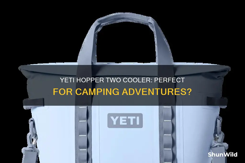 can i take yeti hopper two portable cooler camping