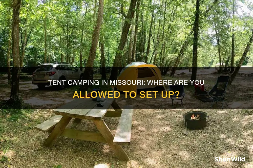 can i tent camp anywhere in missouri